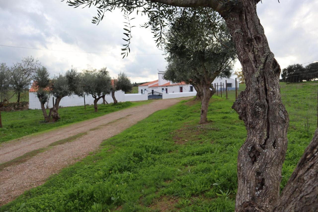 Chalet Monte Do Pombal