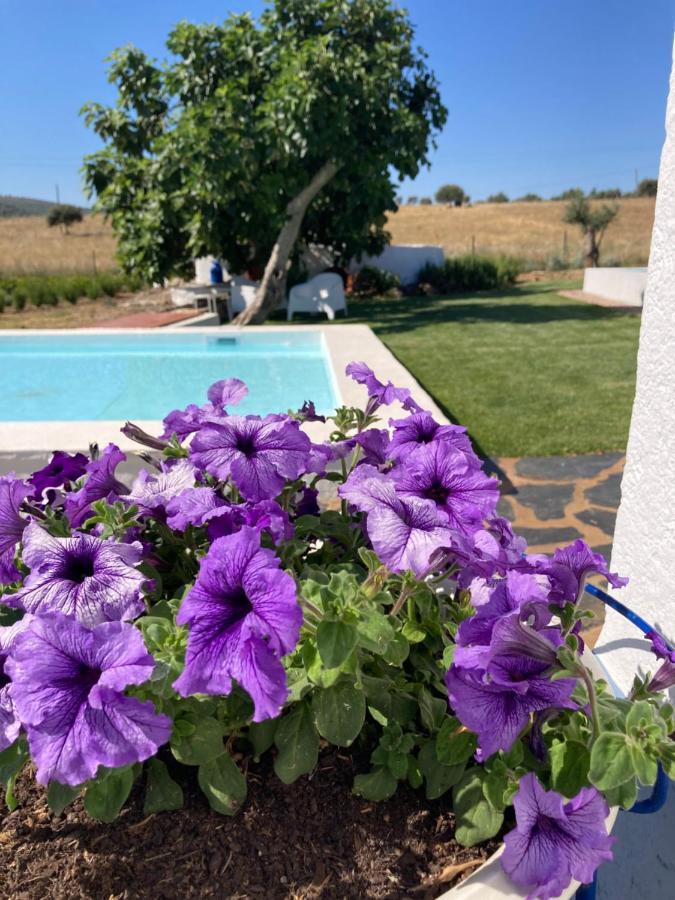Monte Do Pombal Chalet Sousel